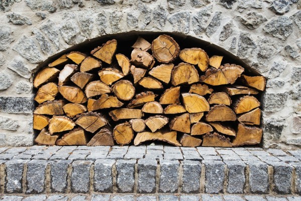 Drewno, brykiet, pellet – czym palić w kominku